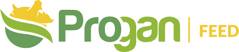 ProGAN